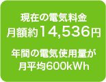 月額約17,713円年間の電気使用量が月平均600kWh