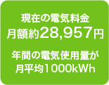 月額約5,265円年間の電気使用量が月平均350kWh